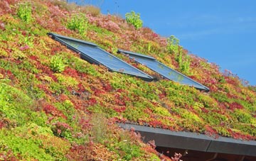 Peacemarsh living roof systems